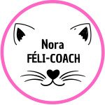 Nora féli-coach comportementaliste félin