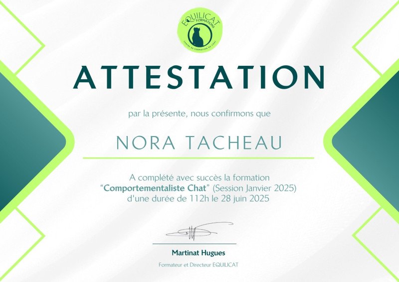 Attestation formation Comportementaliste félin Attestation formation Comportementaliste félin
