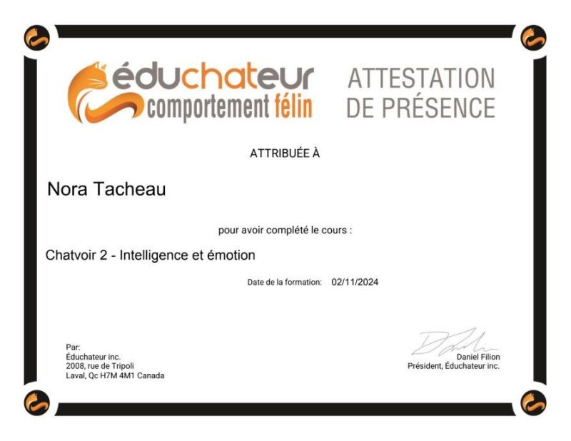 Intelligence & émotion