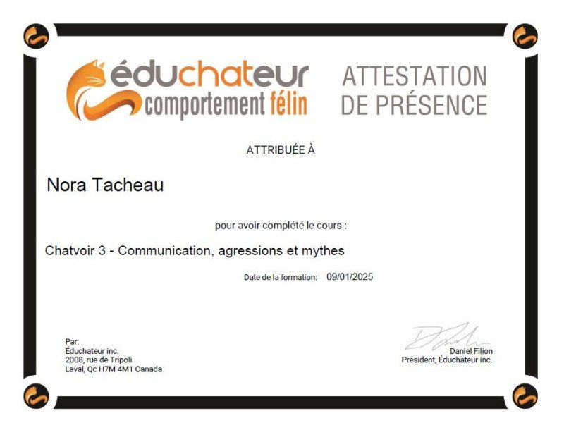 Communication, agressions & mythes